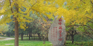 首页| 888集团电子游戏官方网站