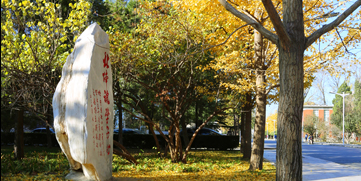 首页| 888集团电子游戏官方网站