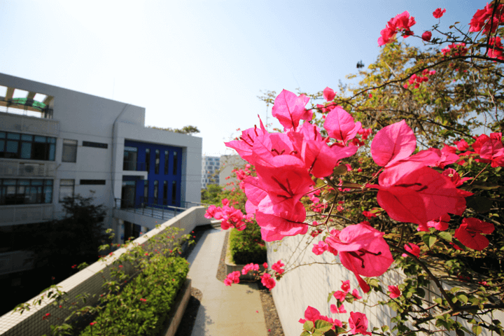 c7c7娱乐平台(中国游)登录官网入口